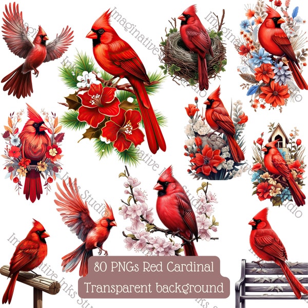 Red Cardinal Clipart PNG Cardinal Bird Boho Flower Red Cardinal Christmas Clipart Bird Cardinal Gift Lovely Cardinal Birding Gift Cardinal