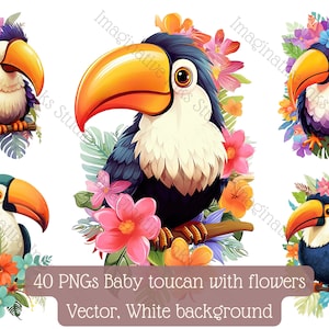 Baby Toucan Clipart PNG Toucan Boho Flower Bird Wall Art Cute Toucan Nursery Decor Toucan Babyshower Tropical Bird Animated Baby Toucan