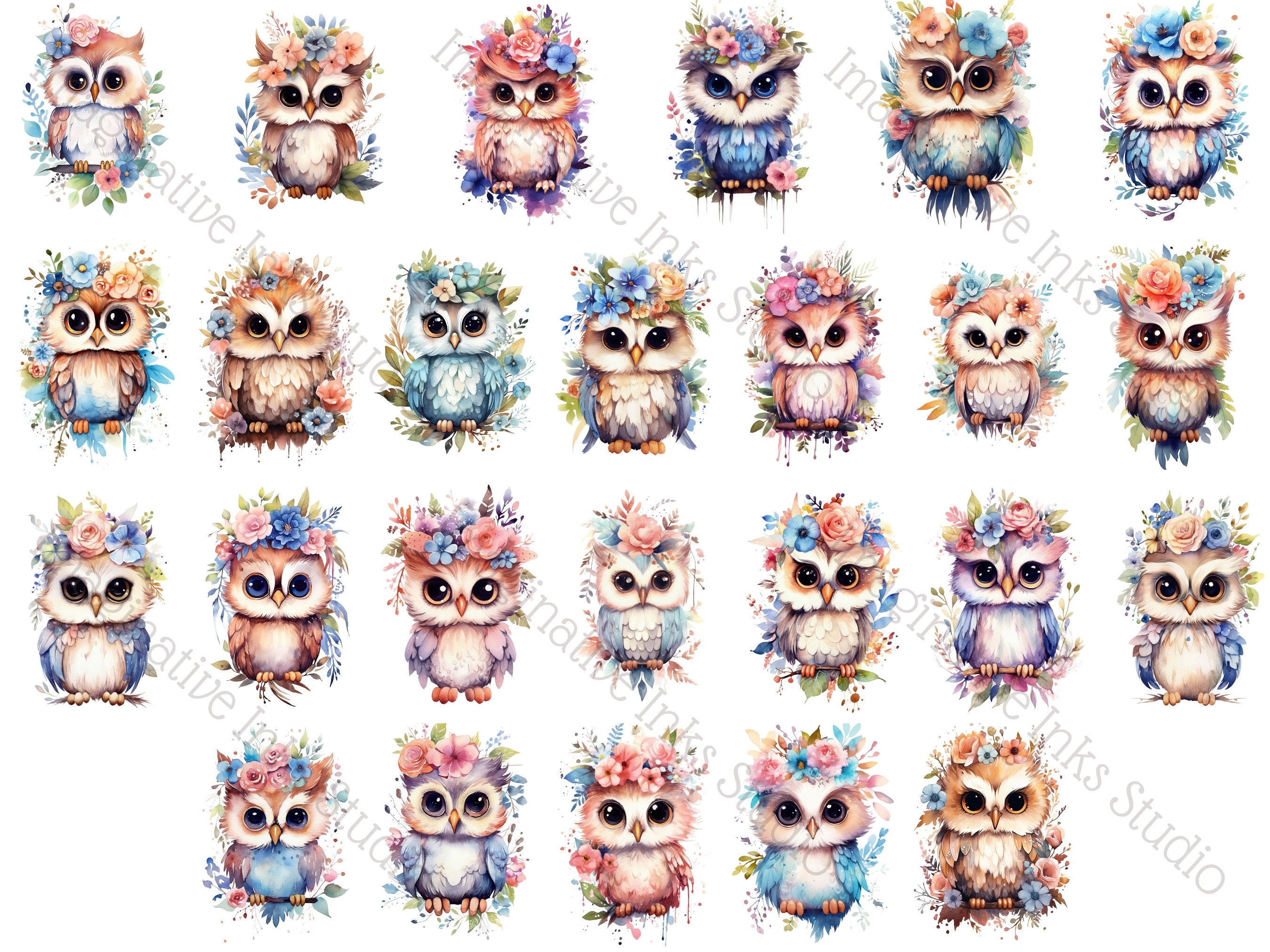 Baby Owl Clipart PNG Superb Owl Boho Flower Bird Wall Art Cute Owl ...