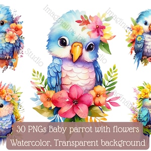 Baby Parrot Clipart PNG Parrot Boho Flower Bird Wall Art Cute Parrot Nursery Decor Parrot Babyshower Tropical Bird Animated Baby Parrot Bird