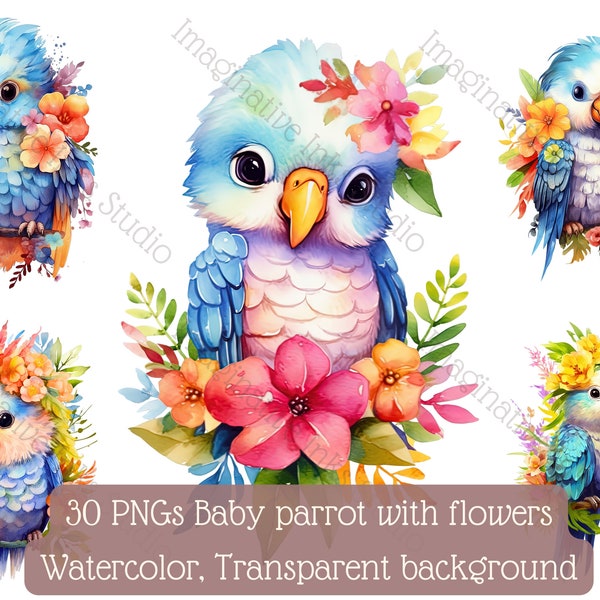 Baby Parrot Clipart PNG Parrot Boho Flower Bird Wall Art Cute Parrot Nursery Decor Parrot Babyshower Tropical Bird Animated Baby Parrot Bird