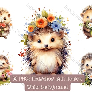 Hedgehog Clipart PNG Animal Boho Flower Hedgehog Nursery Decor Hedgehog Babyshower Boho Flower Mammal Cute Hedgehog Woodland Forest Animals