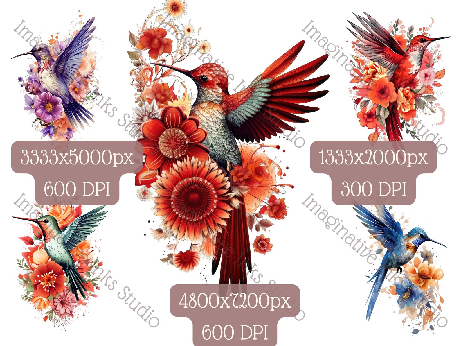 Hummingbird Clipart PNG Hummingbird Boho Flower Bird Wall Art - Etsy