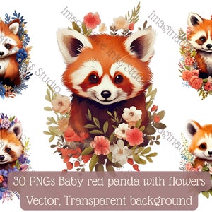 Baby Red Panda Clipart PNG Panda Boho Flower Panda Floral Panda Nursery Decor Red Panda WallArt Panda Babyshower Boho Flower Animated Panda
