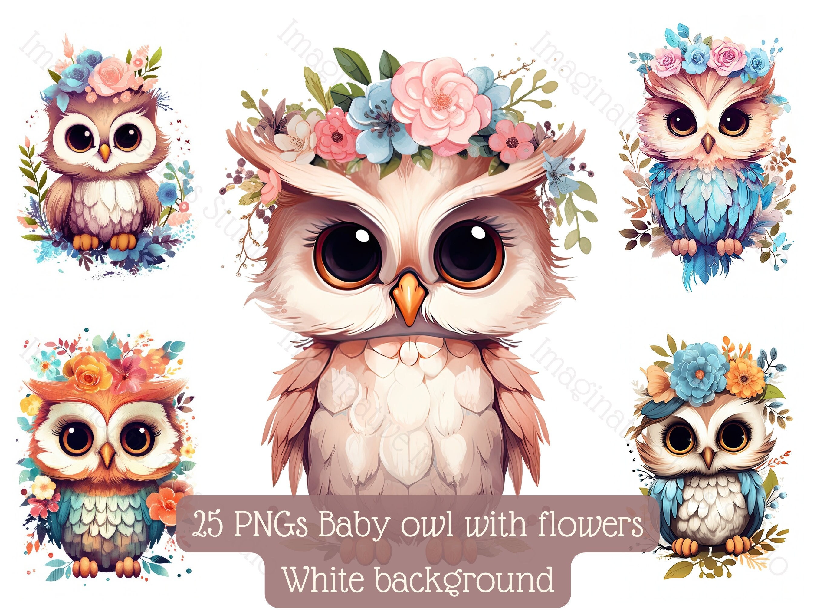 Baby Owl Clipart PNG Superb Owl Boho Flower Bird Wall Art Cute - Etsy