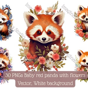Baby Red Panda Clipart PNG Panda Boho Flower Panda Floral Panda Nursery Decor Red Panda WallArt Panda Babyshower Boho Flower Animated Panda