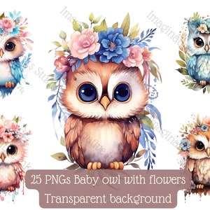 Baby Owl Clipart PNG Superb Owl Boho Flower Bird Wall Art Cute Owl Nursery Decor Owl Babyshower Woodland Bird Animated Baby Owl Watercolor