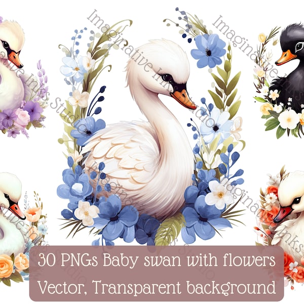 Swan Clipart PNG Baby Swan Boho Flower Cute Bird Nursery Decor Bird Flower Wall Art Floral Swan Babyshower Animated Baby Swan Black Swan