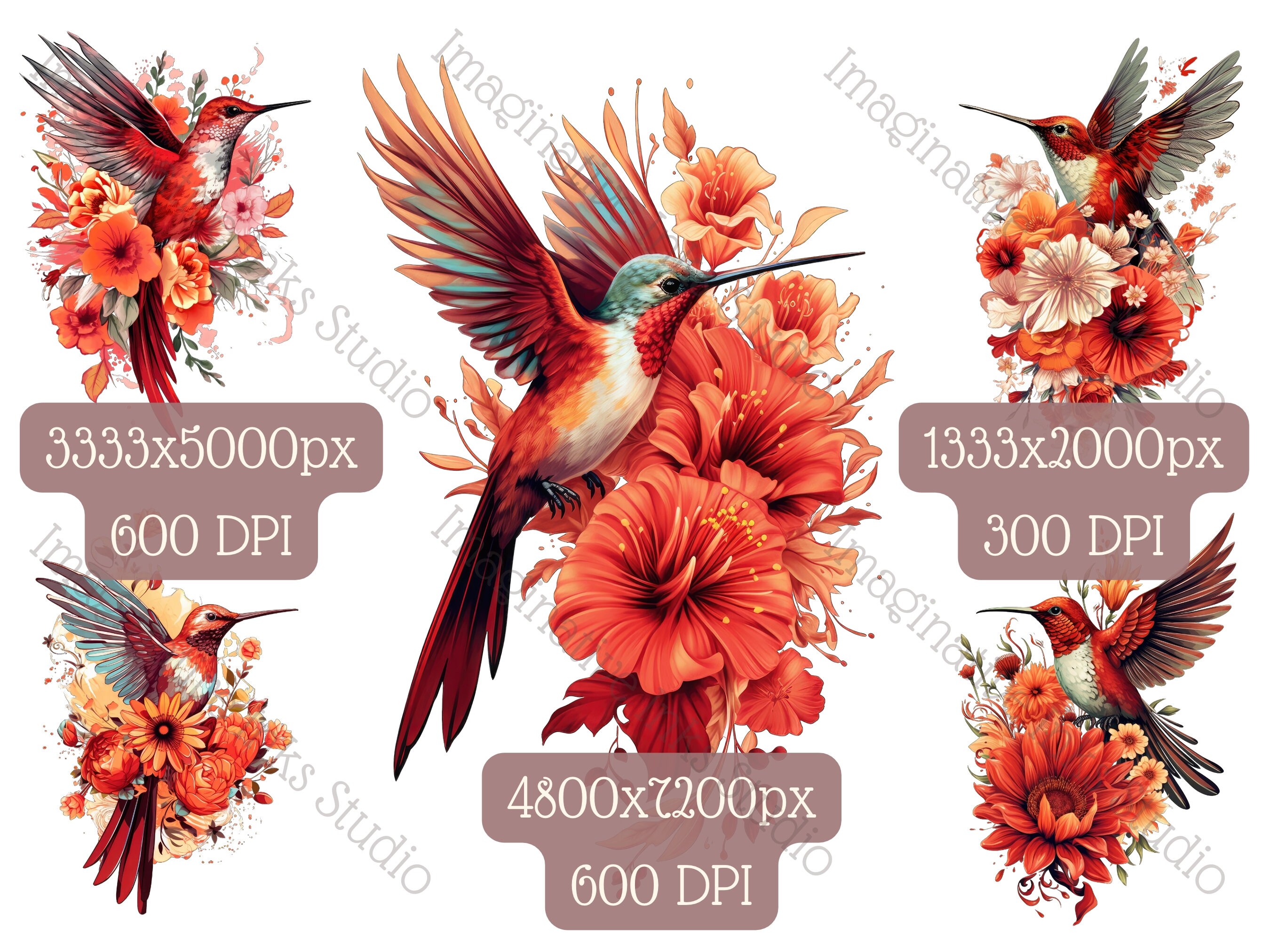 Hummingbird Clipart PNG Red Hummingbird Boho Flower Bird Wall - Etsy