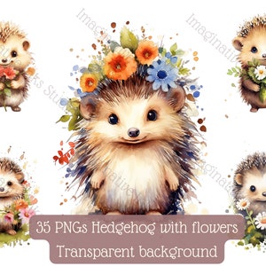 Hedgehog Clipart PNG Hedgehog Boho Flower Hedgehog Nursery Decor Hedgehog Babyshower Boho Flower Hedgehog Cute Hedgehog Baby Woodland Forest