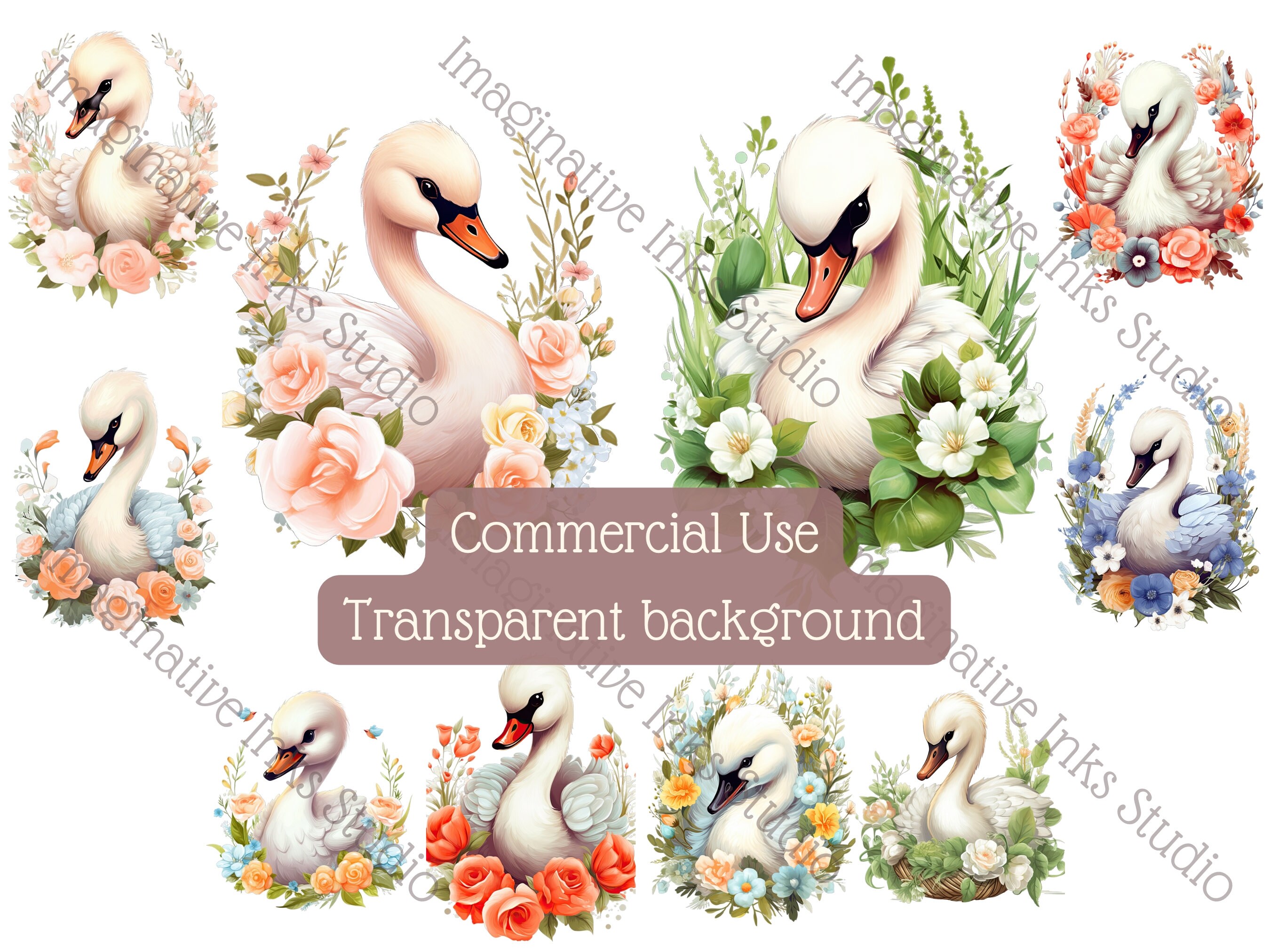 Swan Clipart PNG Baby Swan Boho Flower Cute Bird Nursery Decor Bird ...