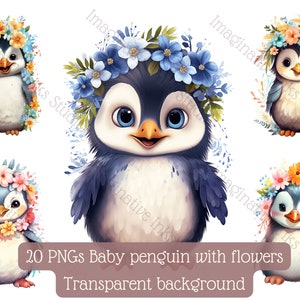 Baby Penguin Clipart PNG Penguin Boho Flower Bird Wall art Cute Penguin Nursery Decor Penguin Babyshower Woodland Bird Animated Baby Penguin