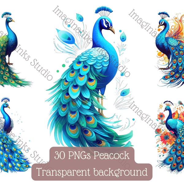 Peacock Clipart PNG Peacock Boho Flower Bird Wall Art Peacock Nursery Decor Peacock Babyshower Peacock Tail Peafowl Floral Bouquet Peacock