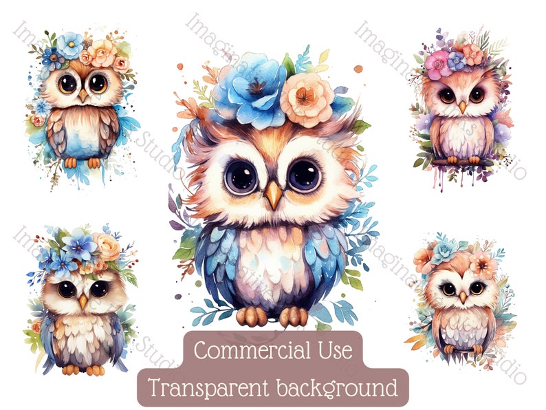 Baby Owl Clipart PNG Superb Owl Boho Flower Bird Wall Art Cute Owl ...