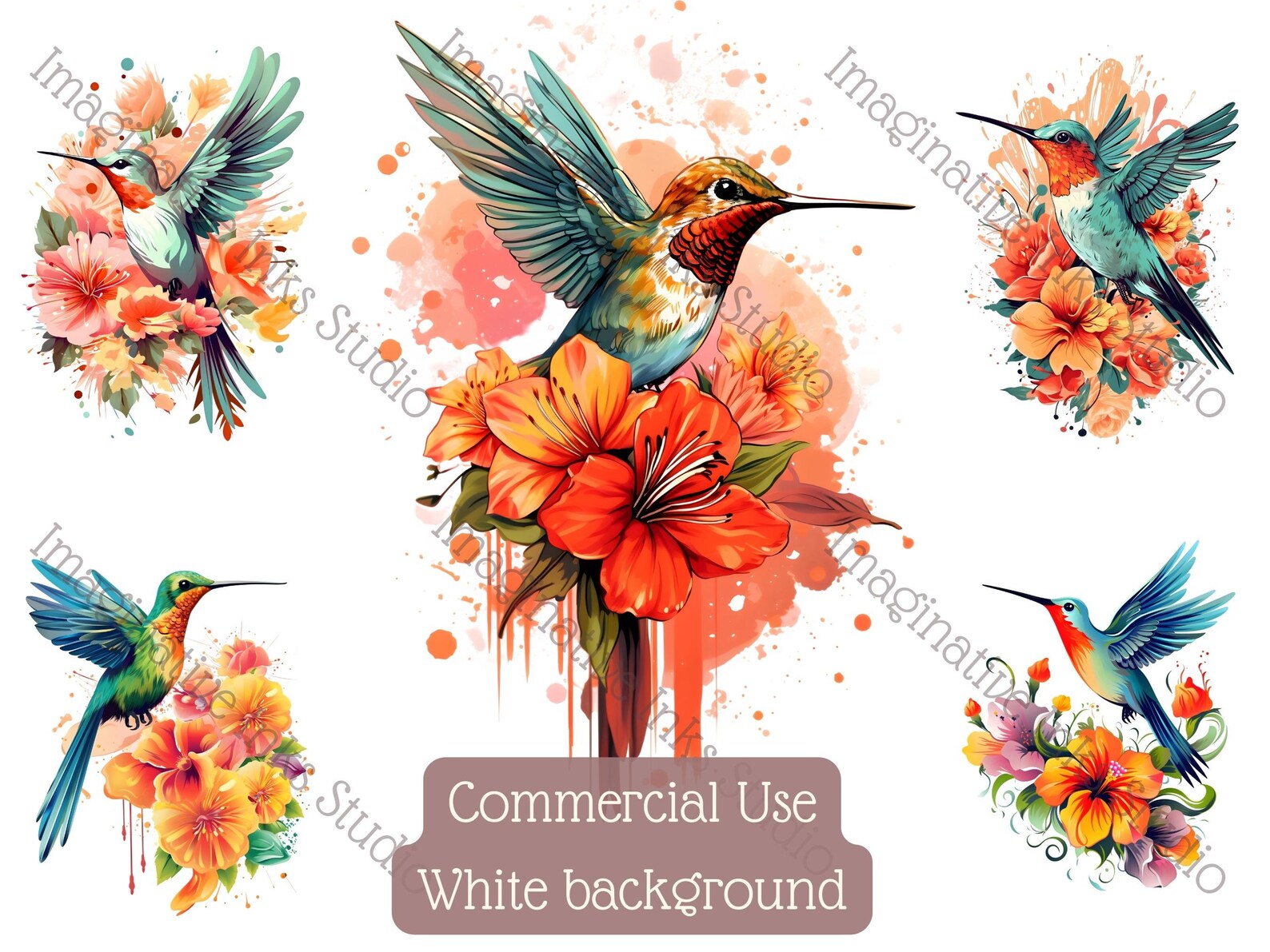 Hummingbird Clipart PNG Hummingbird Boho Flower Bird Wall Art ...