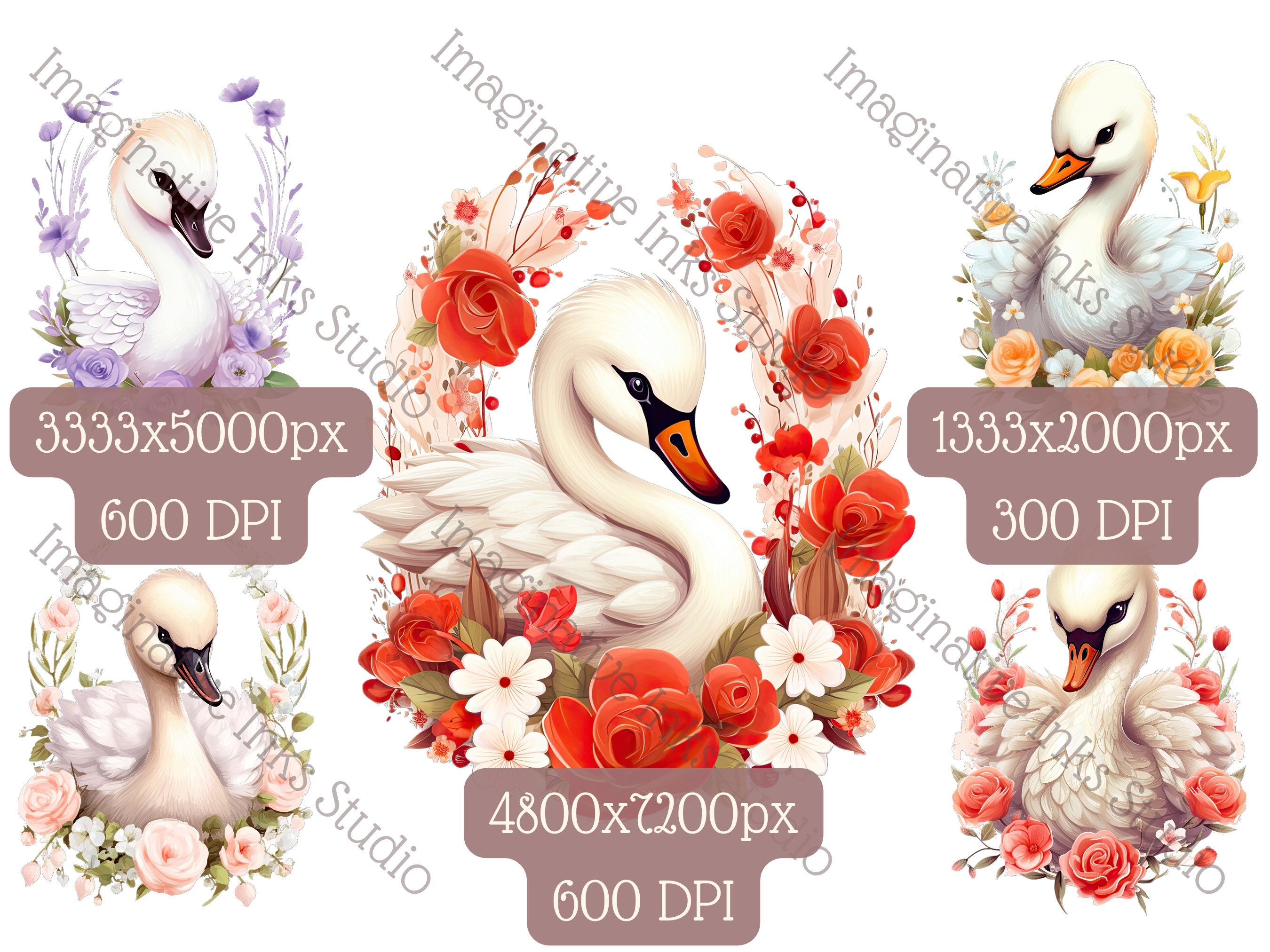 Swan Clipart PNG Baby Swan Boho Flower Cute Bird Nursery Decor Bird ...