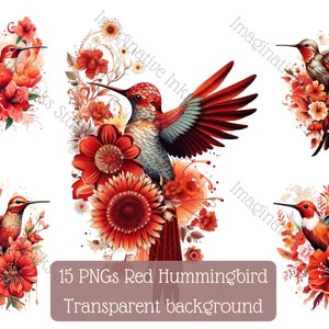 Hummingbird Clipart PNG Red Hummingbird Boho Flower Bird Wall Art Hummingbird Nursery Decor Hummingbird Babyshower Red Floral Hummingbird