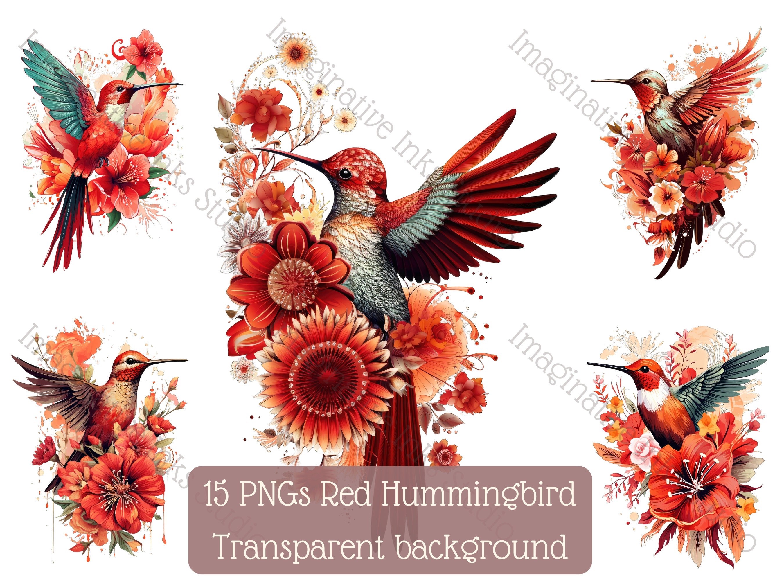Hummingbird Clipart PNG Red Hummingbird Boho Flower Bird Wall Art ...