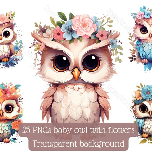 Baby Owl Clipart 25 High-quality PNG With Transparent - Etsy