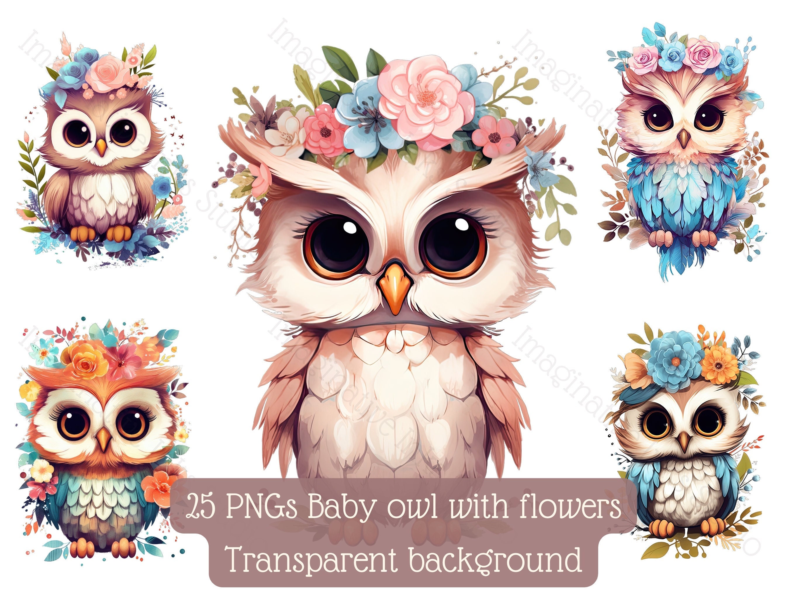 Baby Owl Clipart 25 High-quality PNG With Transparent Background Vector  Wall Art Download Commercial Use Bird With Flower Nursery Painting - Etsy