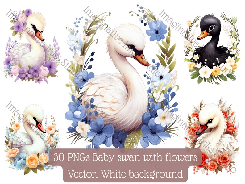 Swan Clipart PNG Baby Swan Boho Flower Cute Bird Nursery Decor Bird ...