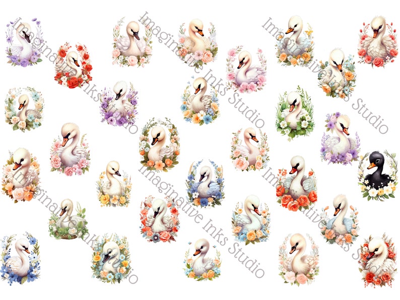 Swan Clipart PNG Baby Swan Boho Flower Cute Bird Nursery Decor Bird ...