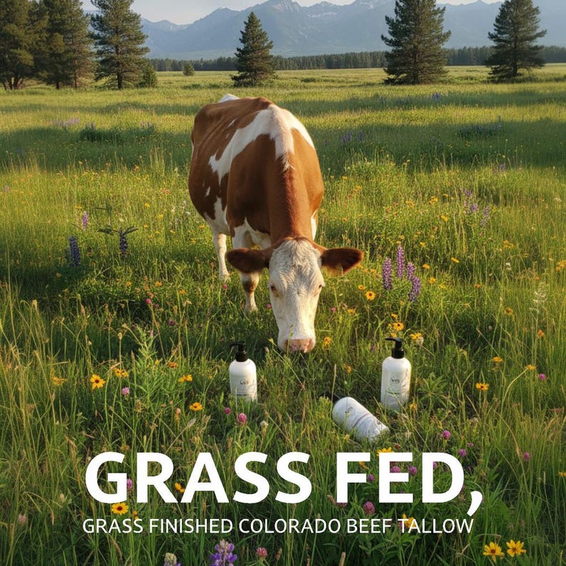 May include: A brown and white cow grazes in a field of wildflowers. Three white bottles with black pumps are in the foreground. The text "GRASS FED, GRASS FINISHED COLORADO BEEF TALLOW" is at the bottom of the image.