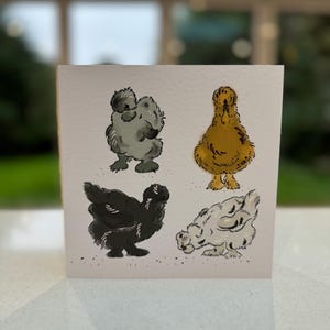 Poulet Silkie, carte de voeux vierge