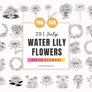 Birth Flowers SVG, Water Lily Birth SVG, Minimalist Floral, Birth Flower tattoo, Flower Bouquet, Flower svg, Birth Month Flower svg, png