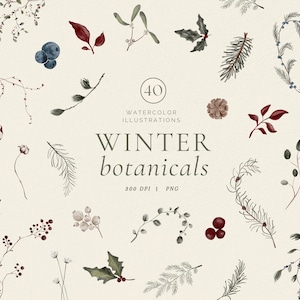 Aquarell Winter Botanicals Clipart Winterszene Clipart Winterbaum Clipart Wintersaison Sonnenwende Clipart Weihnachtskranz Clipart