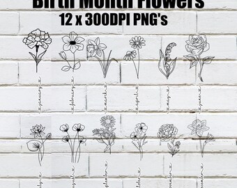 Imágenes prediseñadas PNG de flores del mes de nacimiento: gráficos florales de alta resolución (descarga digital)