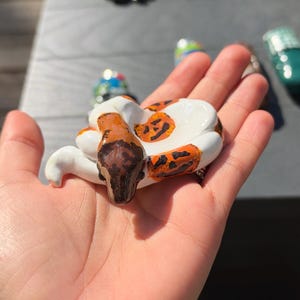 Handmade polymer clay Ball Python worry stone