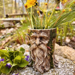 Peut inclure: Un pot de fleurs en forme de souche d'arbre avec un visage sculpté, rempli de pissenlits jaunes et de feuillage vert. Le pot a un aspect vieilli et mousseux, et repose sur une surface en pierre. Le thème général est la décoration de la nature et du jardin.