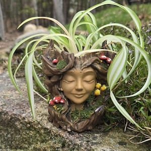 May include: A brown tree-shaped planter featuring a sculpted face with closed eyes, decorated with small red mushrooms, green moss, and yellow flowers. A spider plant with long, green and white variegated leaves grows from the top opening.