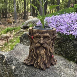 May include: A brown, tree-stump-shaped planter with a face carved into it, holding a green plant. The planter has a long beard and is decorated with red ladybugs. The background features a forest and purple flowers.