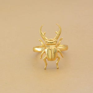 Messing hert keverring: dikke boho-insectensieraden