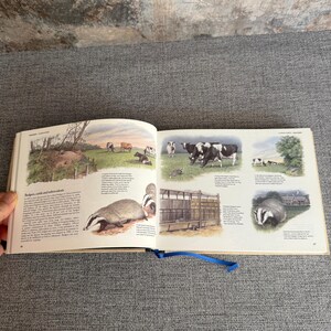 9780276360060 - Field Guide to the Animals of Britain Nature Lover's