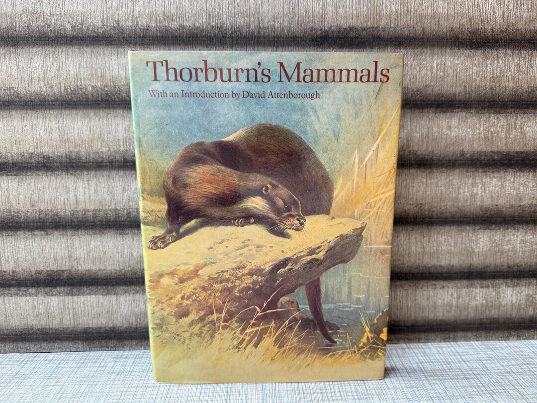 Vintage 1974 Thorburn’s Mammals Book | David Attenborough Introduction ...