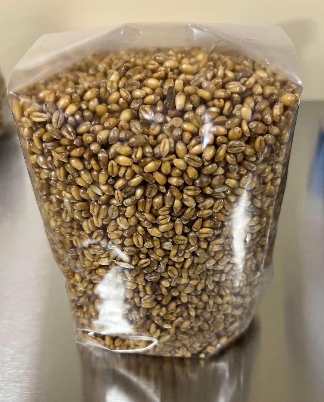 2 LB Organic Wheat Sterilized Grain Spawn Bag W/ Self Healing Etsy