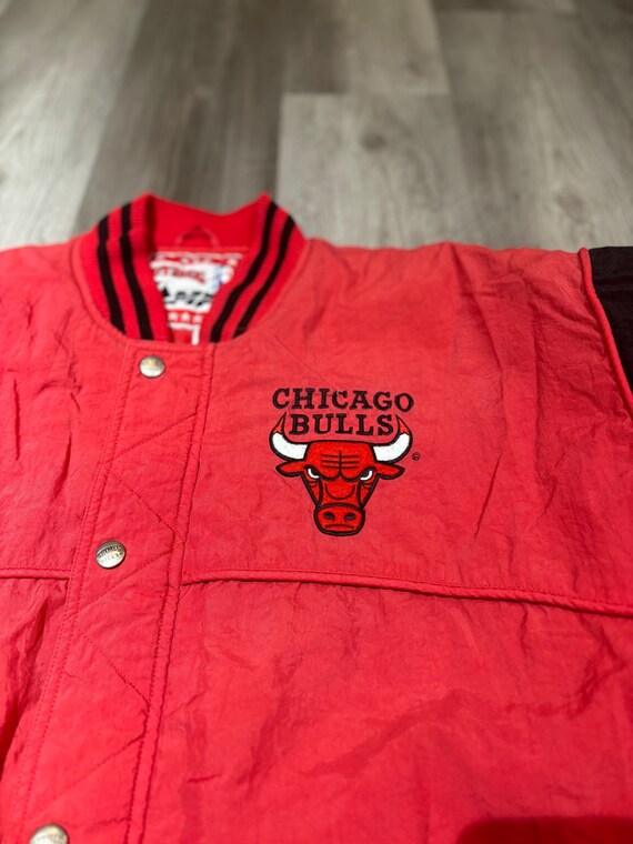 Chicago Bulls View 2