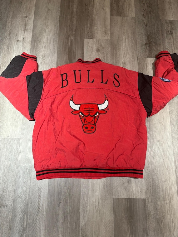 Chicago Bulls View 5