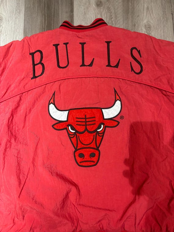 Chicago Bulls View 6