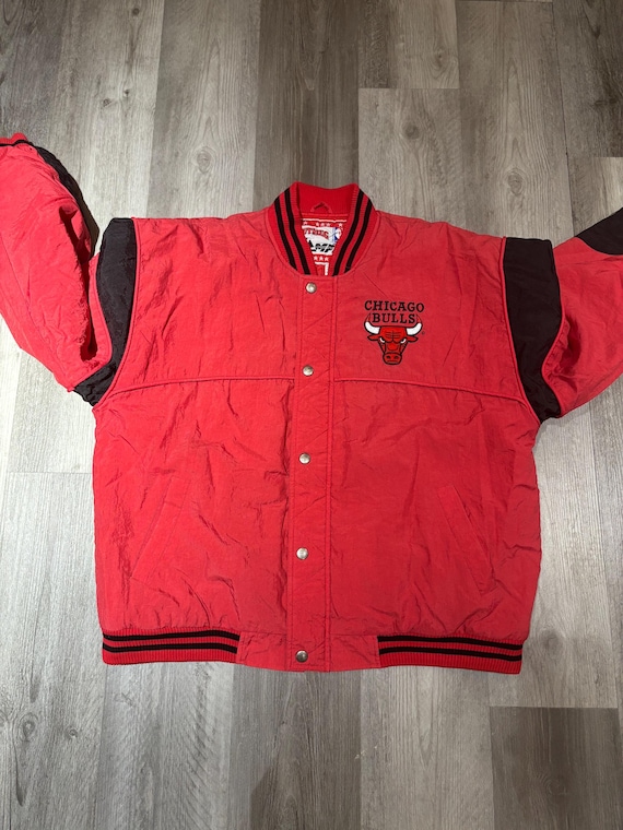 Chicago Bulls View 4