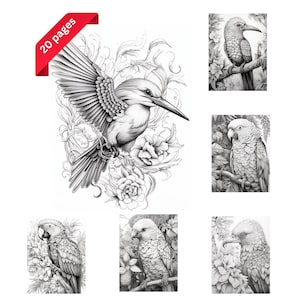 Birds Coloring Book: 20 Grayscale Pages for Adults & Kids (Printable PDF)