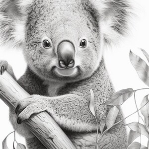 Puede incluir: Dibujo a l&aacute;piz detallado de un koala. El koala est&aacute; posado en una rama de &aacute;rbol, con su pelaje gris y esponjoso y sus grandes ojos expresivos. Se ven hojas de eucalipto en el fondo, lo que se suma al tema natural.