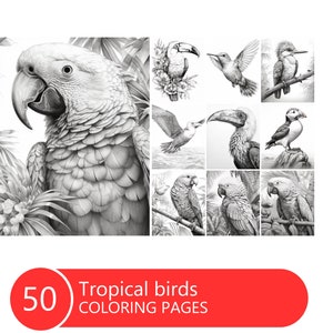 Tropical Birds Vol2 Coloring Book for Adults and Kids, Grayscale Coloring Pages, Instant Download, Printable PDF File