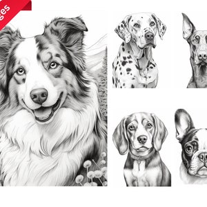 80+ dogs coloring pages, digital download, Page Printable Coloring Pages for Kids, Boys, Girls, Teens, Adults, Animals coloring page