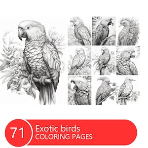 Exotic Birds Coloring Book for Adults and Kids, Grayscale Coloring Pages, Instant Download, Printable PDF File