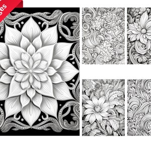 Serene Mandala and Patterns Coloring Pages for Adults, Instant Download, Printable PDF, Relaxing