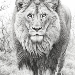 Puede incluir: Dibujo a l&aacute;piz detallado de un le&oacute;n en escala de grises. El le&oacute;n est&aacute; representado de frente, con una melena completa y una mirada concentrada. El fondo presenta &aacute;rboles borrosos y hierba alta, creando un entorno naturalista.